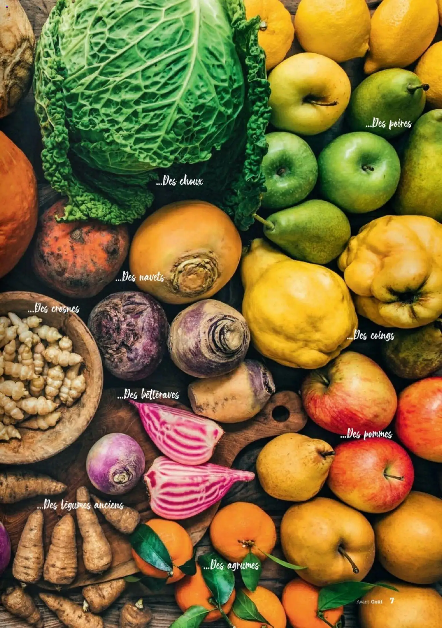 {H1} | Page: 7 | Produits: Pommes