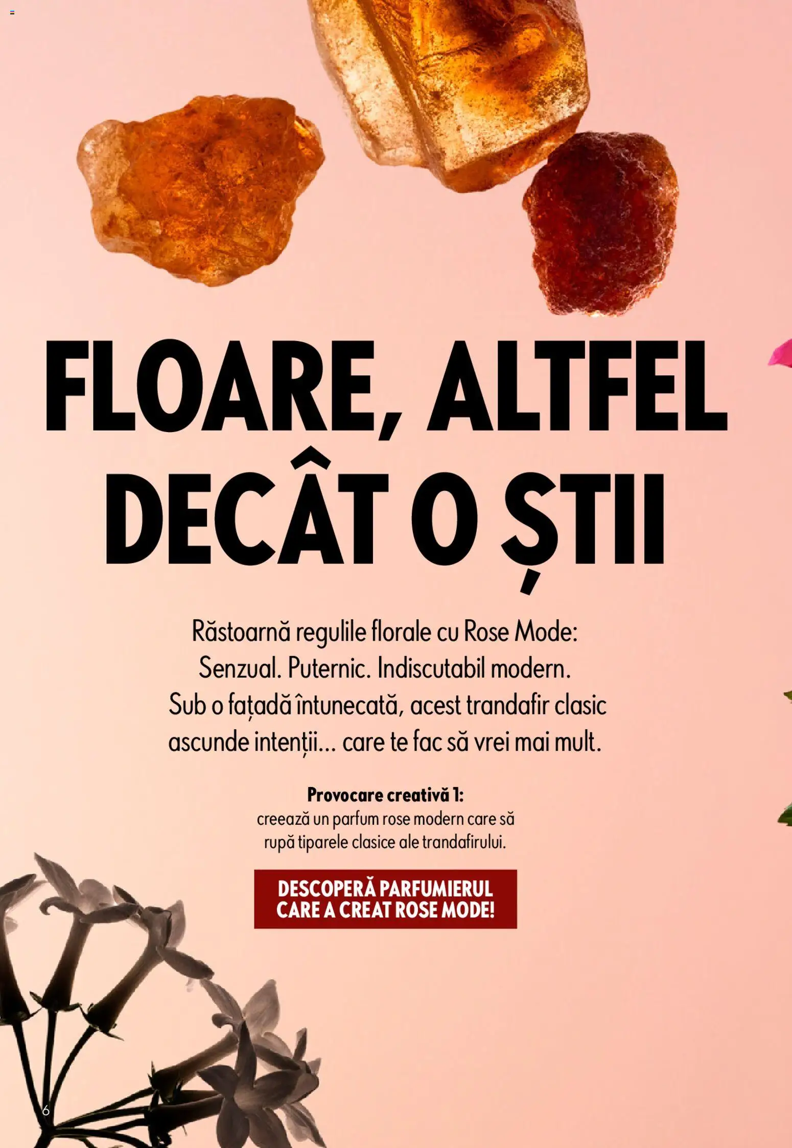 Noul catalog Oriflame – valabil de la 15.04.2026 | Pagină: 6 | Produse: Trandafir, Parfum