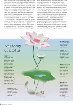 Preview of Waitrose - January 2026 valid from 01.01.2026 | Page: 34