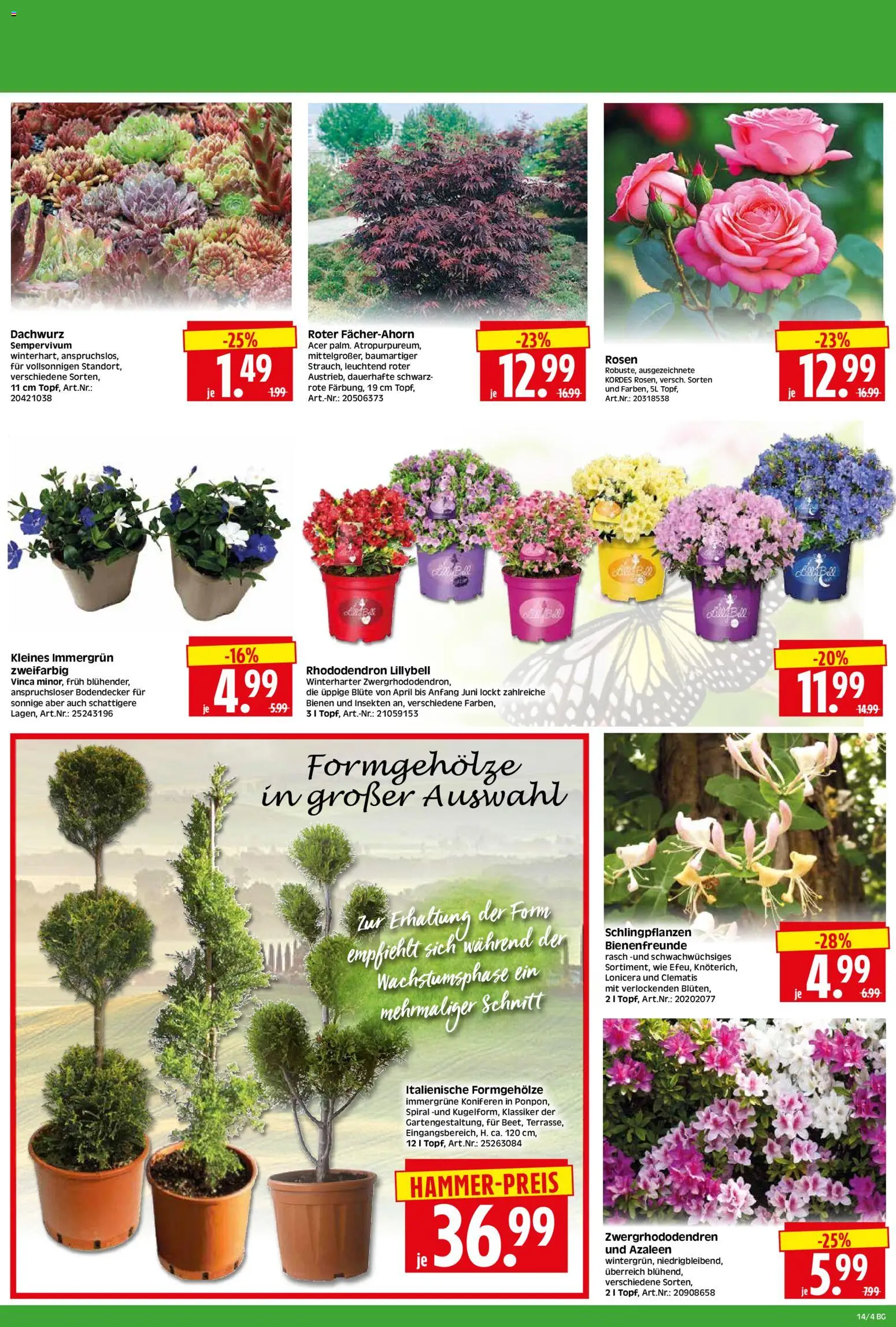 HERKULES - Bau & Garten – gültig ab 30.03.2026 | Seite: 4