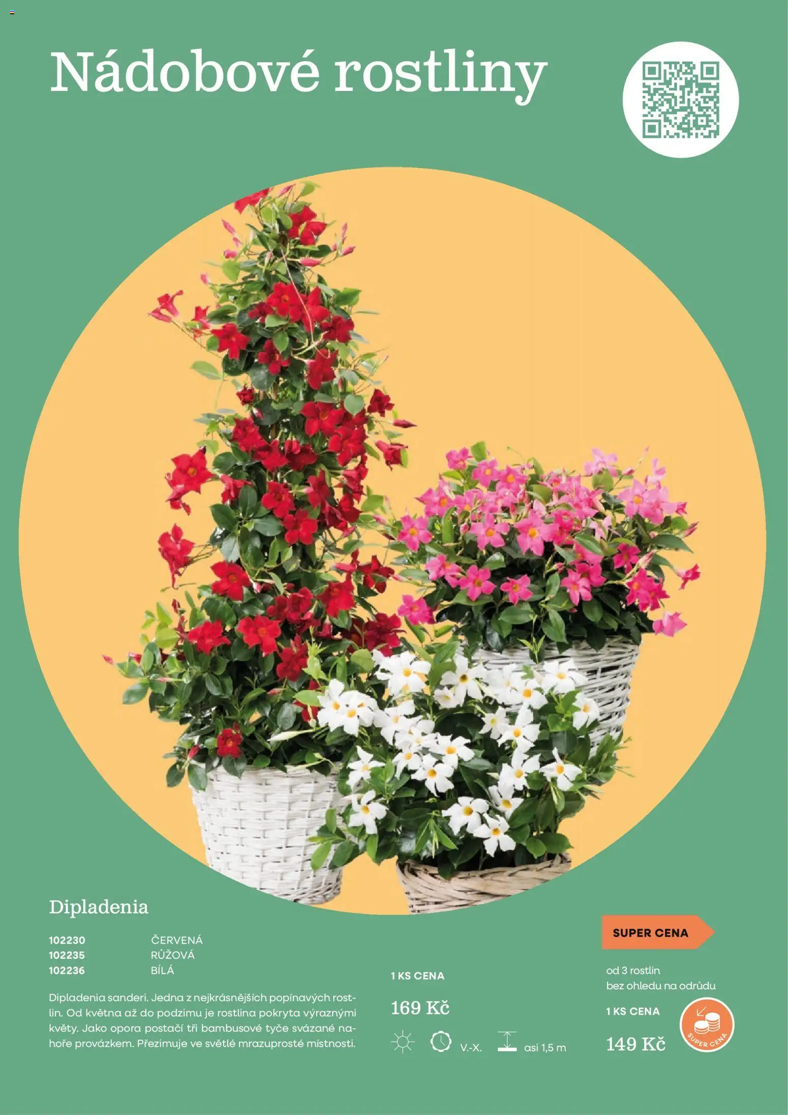 Starkl katalog Jaro 2026 od 25.02.2026 | Strana: 23 | Produkty: Rostliny, Rošt