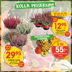 EKO - erbjudanden - Förhandsvisning av reklamblad från butik EKO aktuell från 22.09.2025