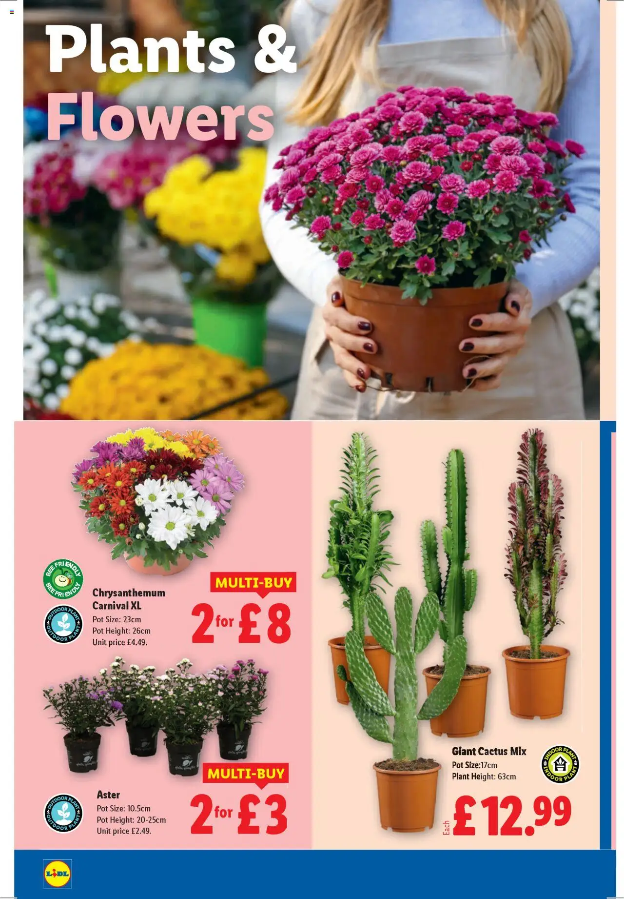  | Page: 20 | Products: Pot, Door