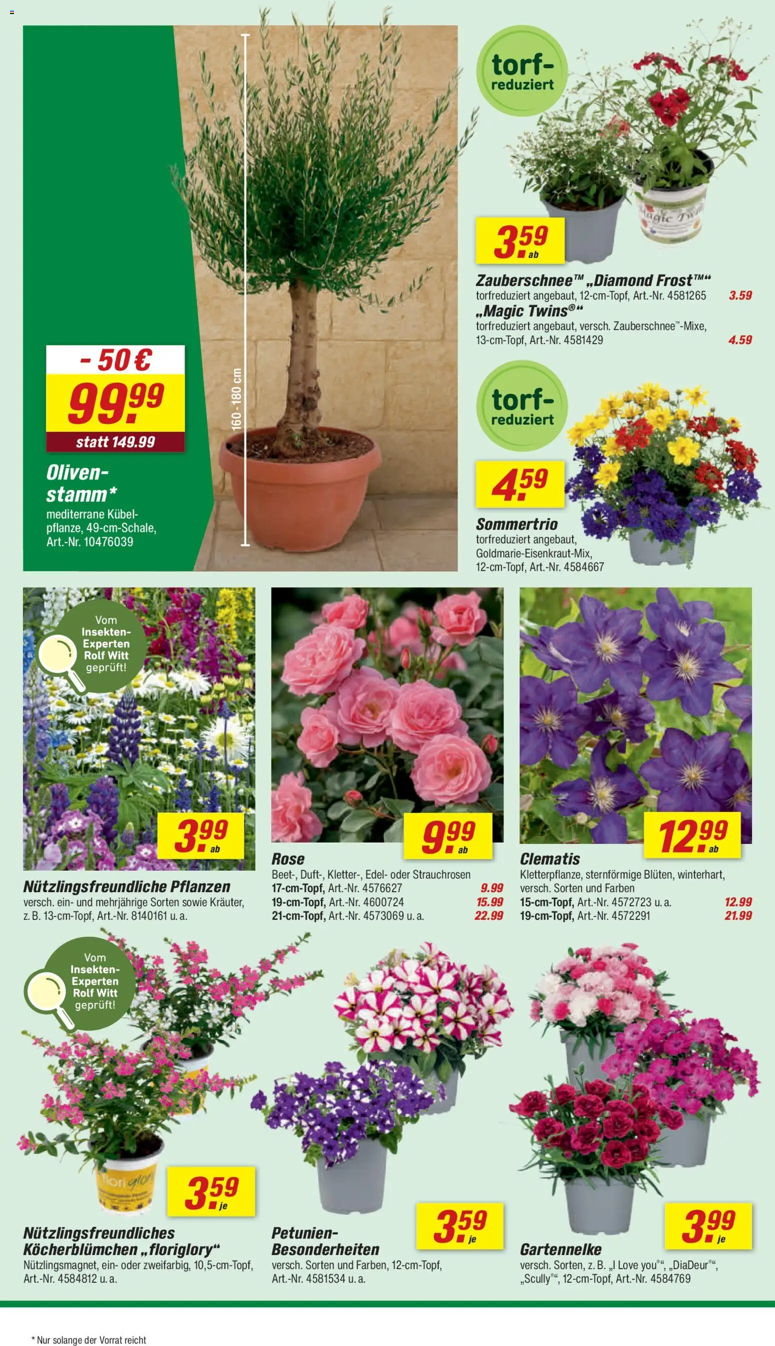 Toom Baumarkt Prospekt 	 – gültig ab 02.05.2026 | Seite: 8