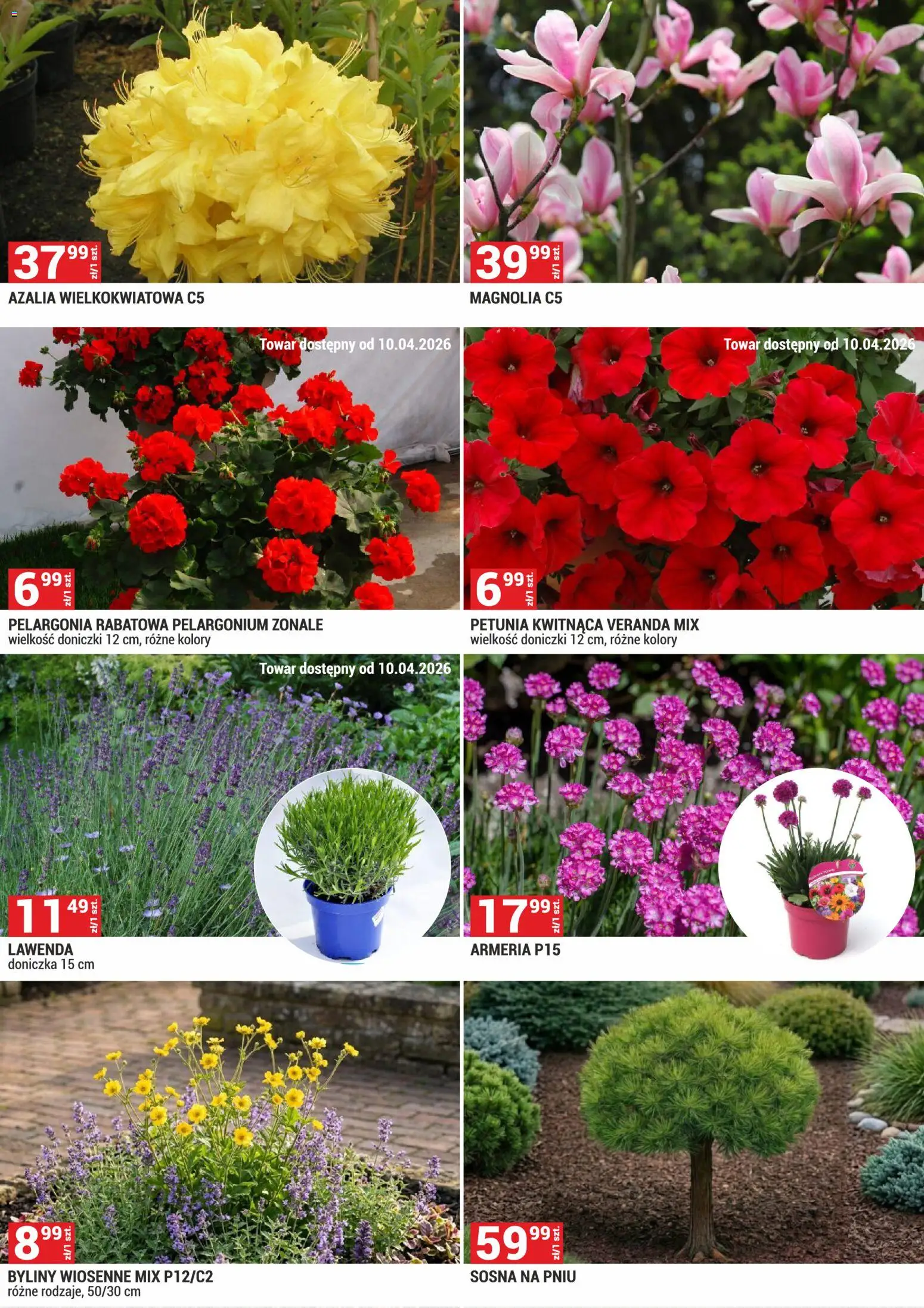 Merkury Market gazetka - Ogród od 01.04.2026 | Strona: 6