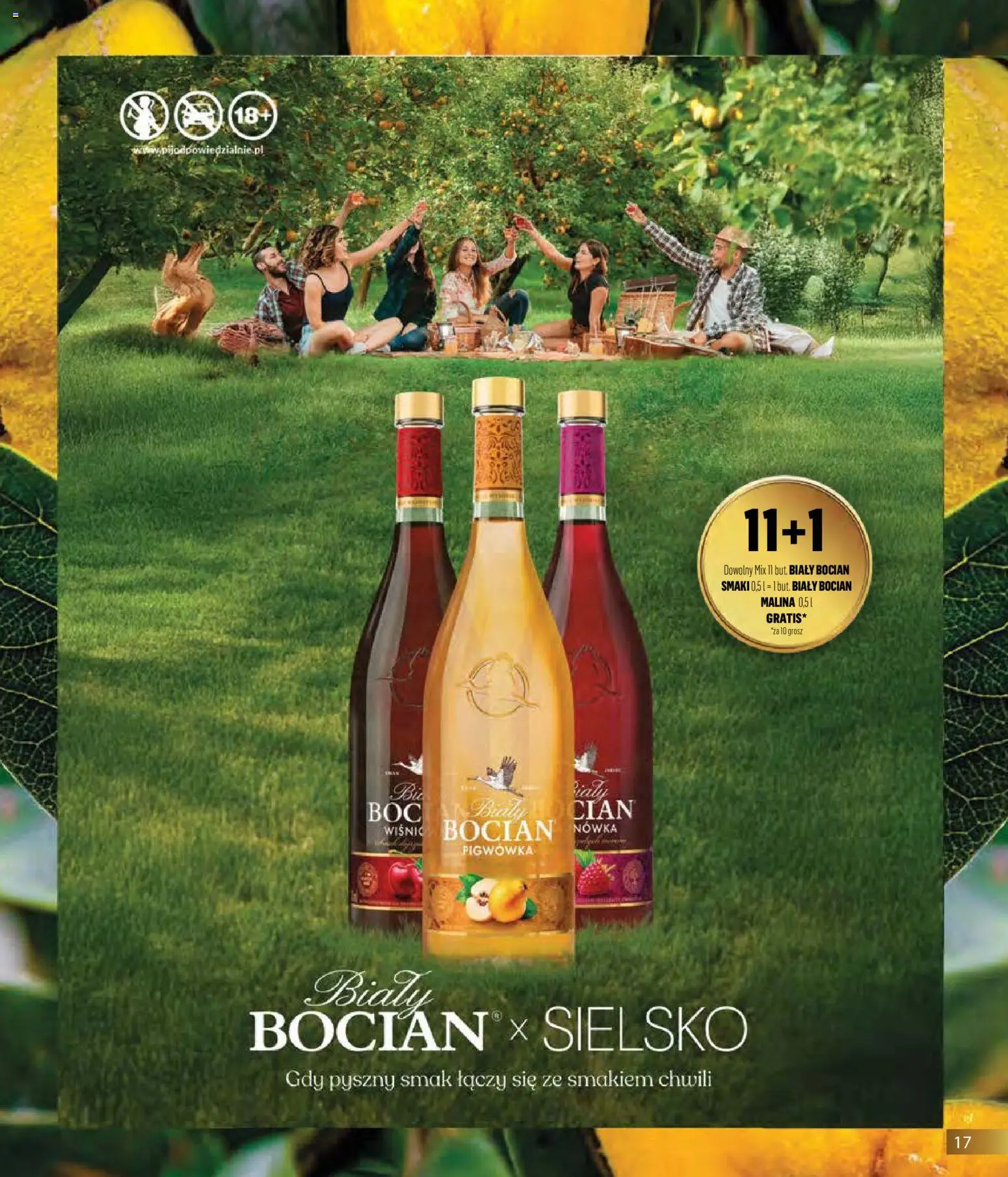 Eurocash Gazetka - Horeca od 01.02.2026 | Strona: 17 | Produkty: Malina