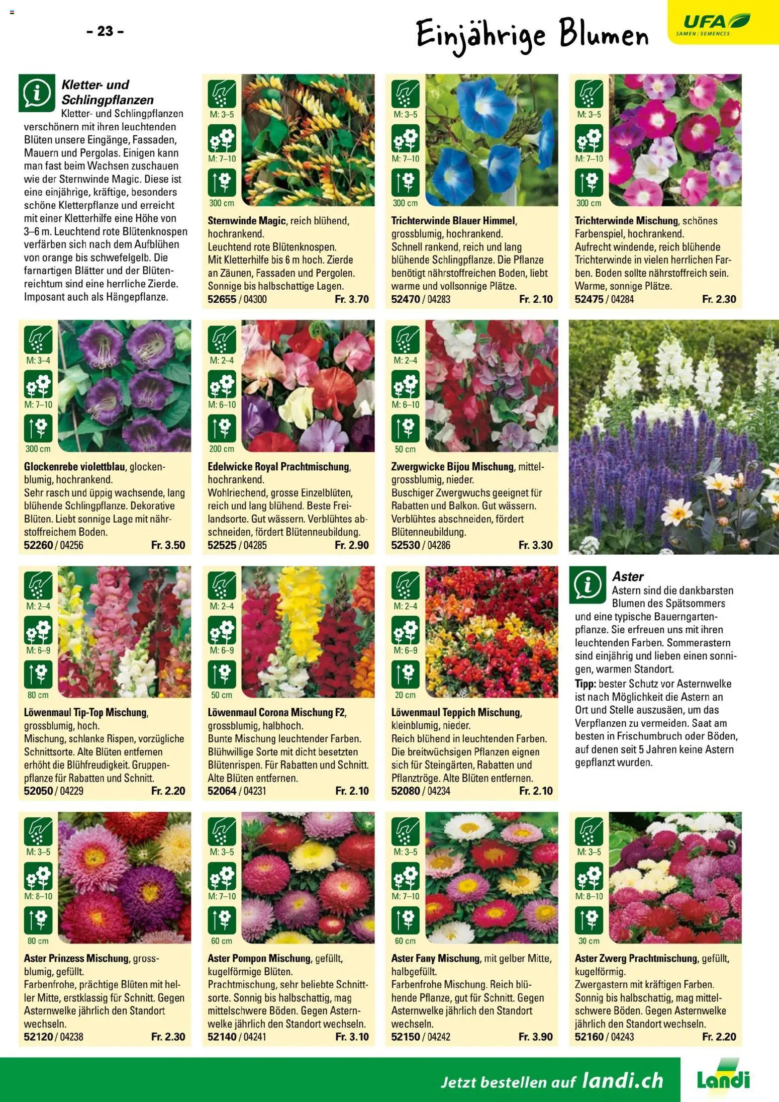 Landi ( Deaktivovane pre Letakomat )  Aktionen – gültig ab 07.01.2026 | Seite: 25 | Produkte: Teppich