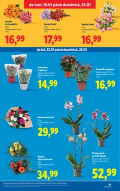 Ofertele Lidl valabile de la 19.01.2026 | Pagină: 45 | Produse: Trandafir, Ghiveci