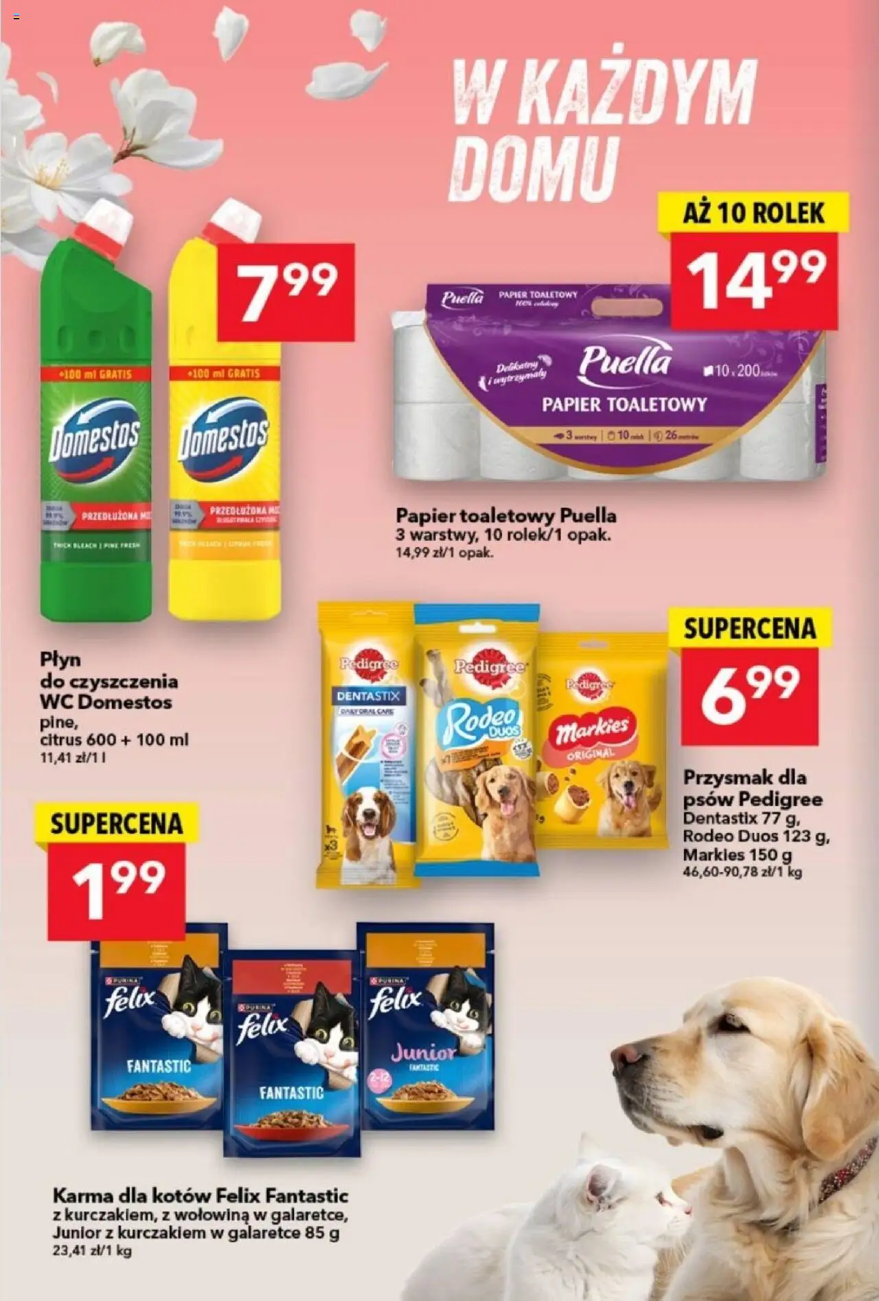 Lewiatan gazetka - Katowice od 11.09.2025 | Strona: 14 | Produkty: Papier toaletowy, Domestos, Karma dla kotów, Wołowina