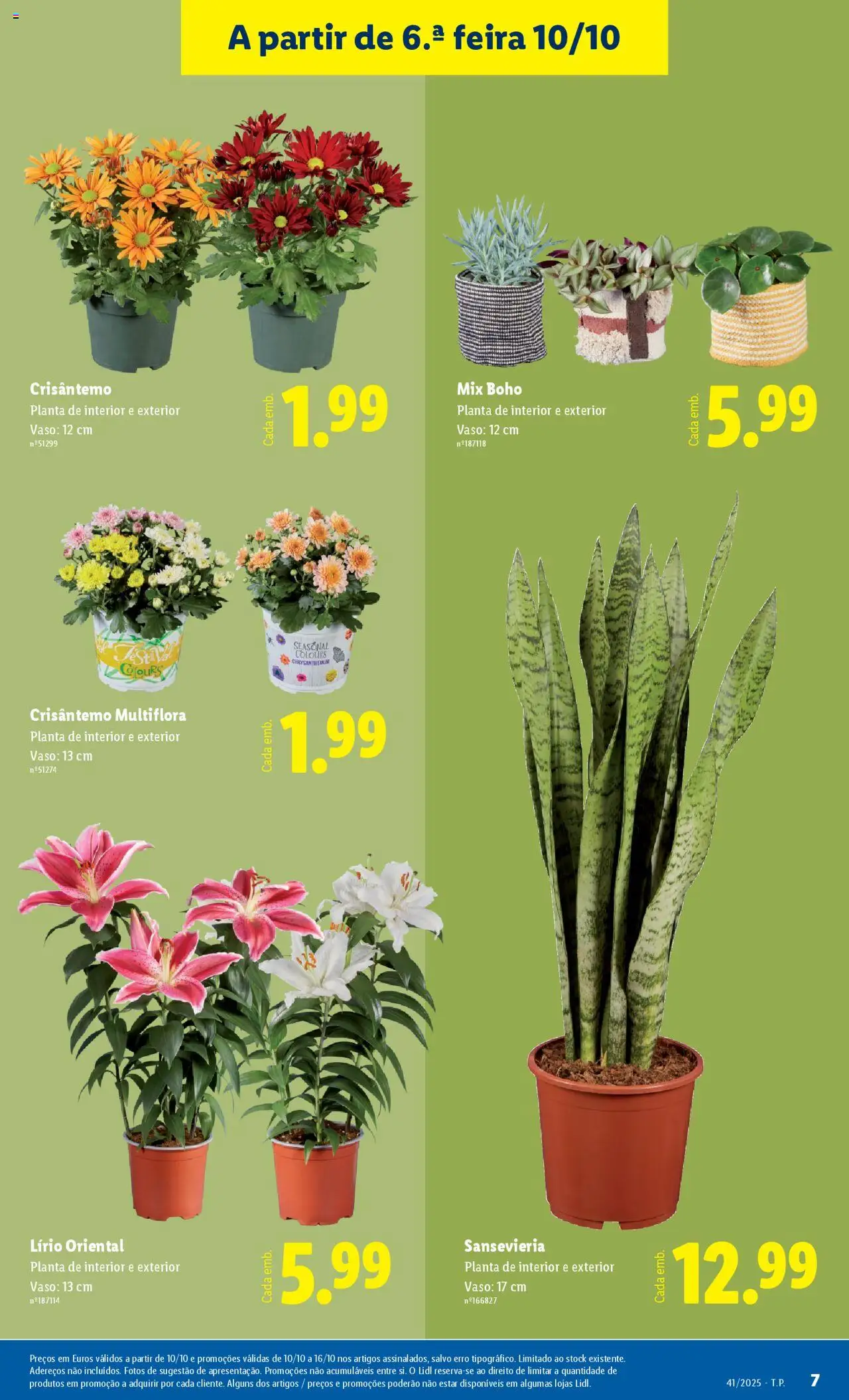 Lidl Novidades │ válido de 06.10.2025 | Página: 7 | Produtos: Vaso