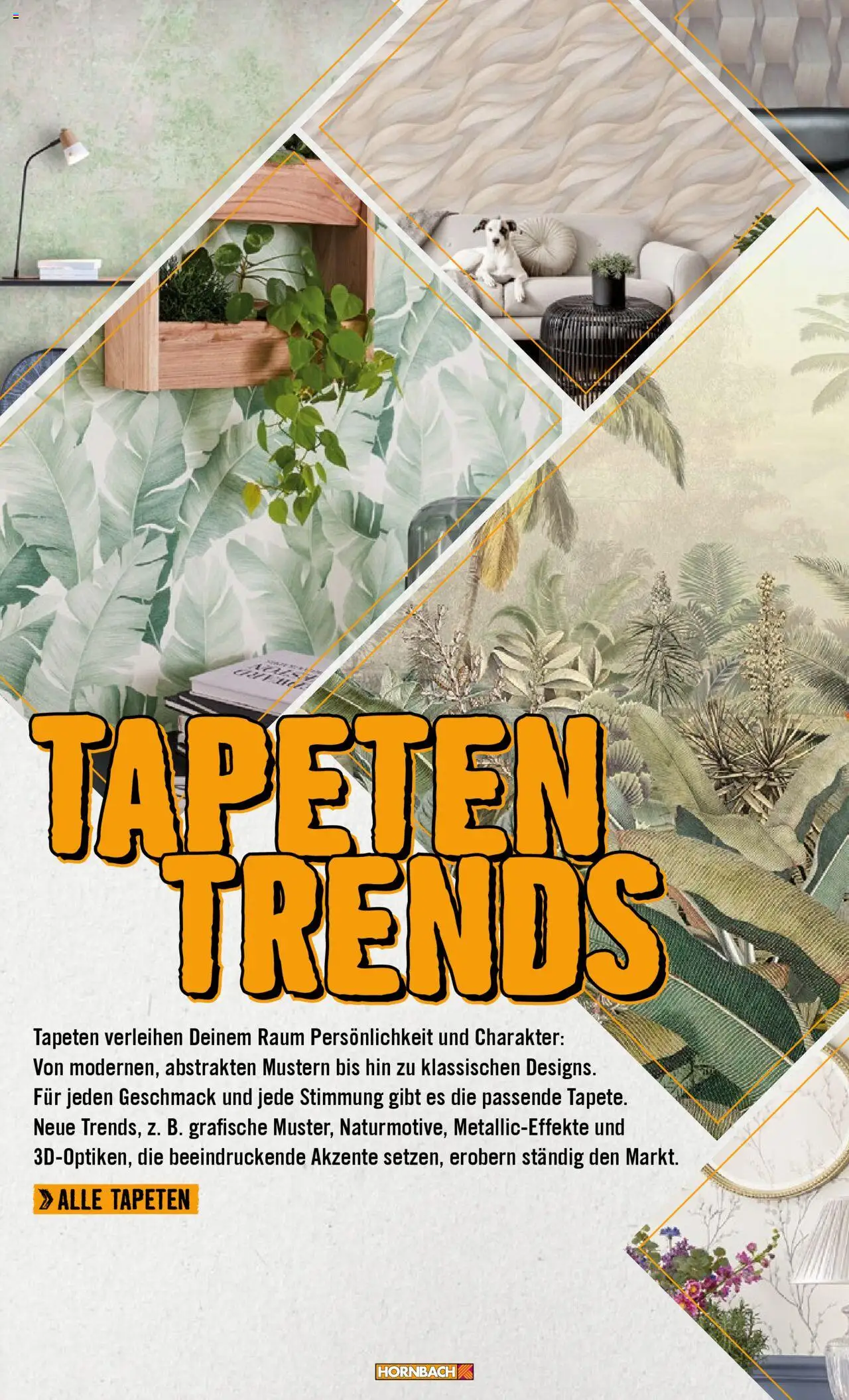 Hornbach Wände 2024 gültig ab 28.10.2024 | Seite: 26