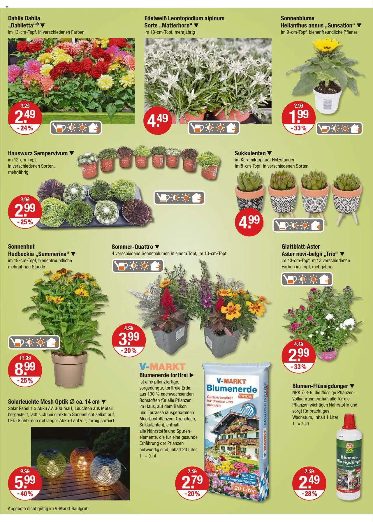 V-Markt - Oberbayern - gültig ab dem 24.07.2025 | Seite: 14 | Produkte: Blumen, Blumenerde, Solarleuchte