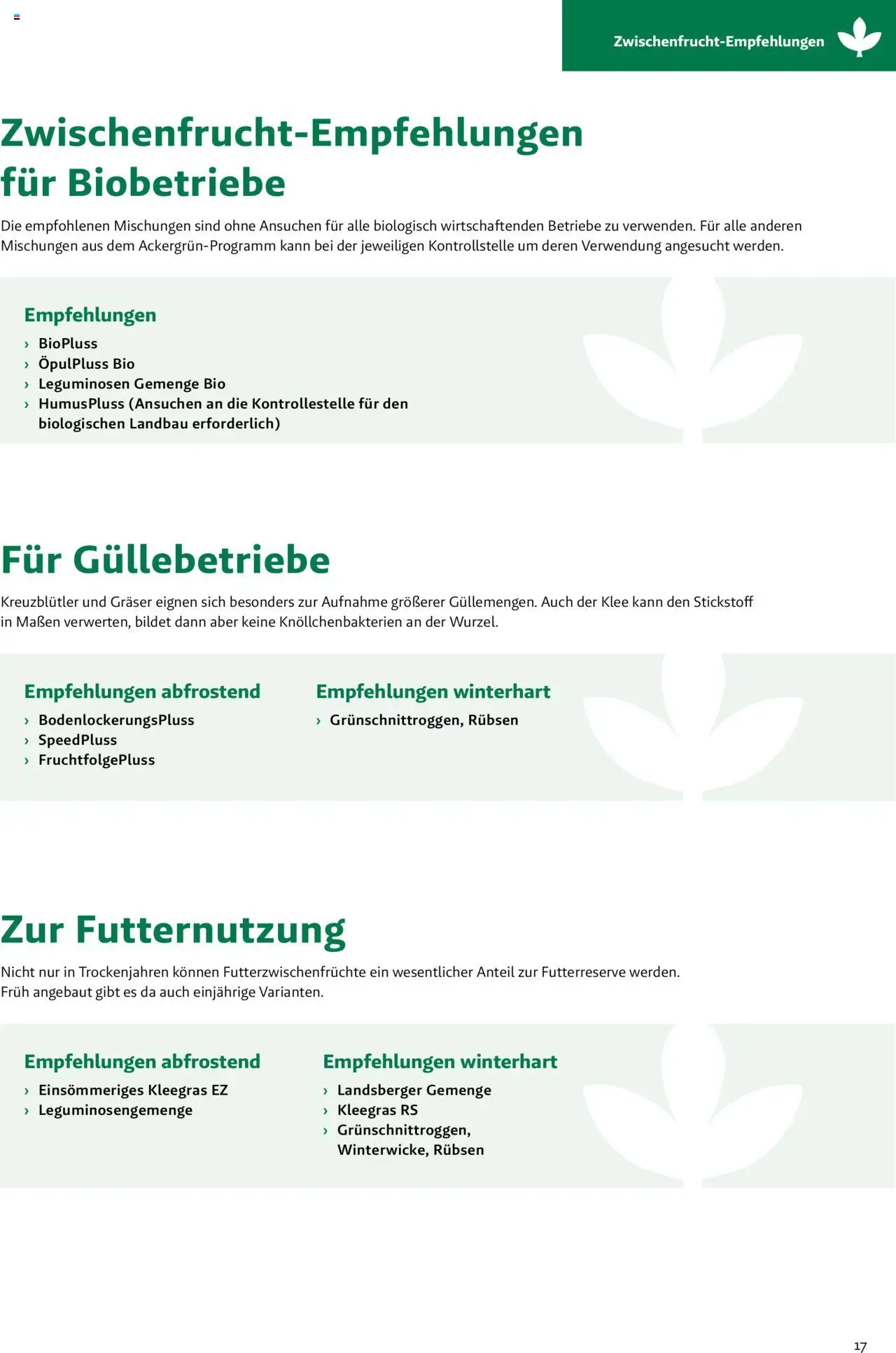 Lagerhaus Fachblatt Zwischenfrüchte & Begrünungen gültig ab 27.03.2025 | Seite: 17