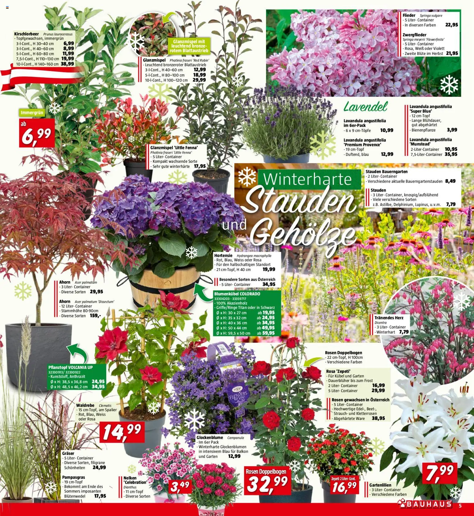 Bauhaus Prospekt aktuell gültig ab 29.04.2026 | Seite: 5