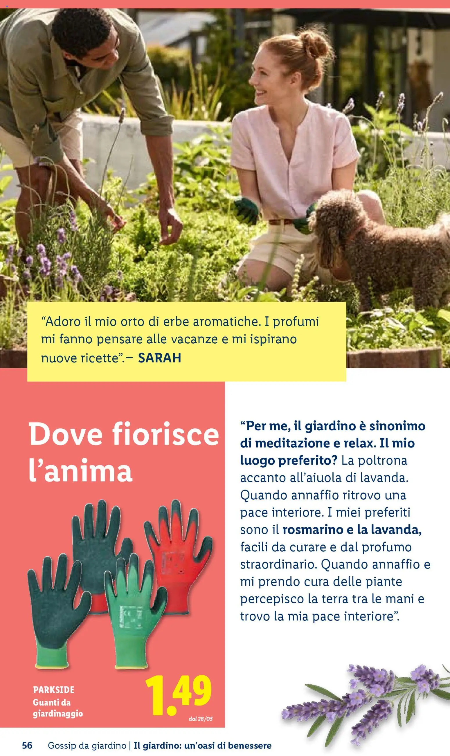 Volantino Lidl del 23.04.2026 | Pagina: 56 | Prodotti: Rosmarino, Guanti, Poltrona, Terra