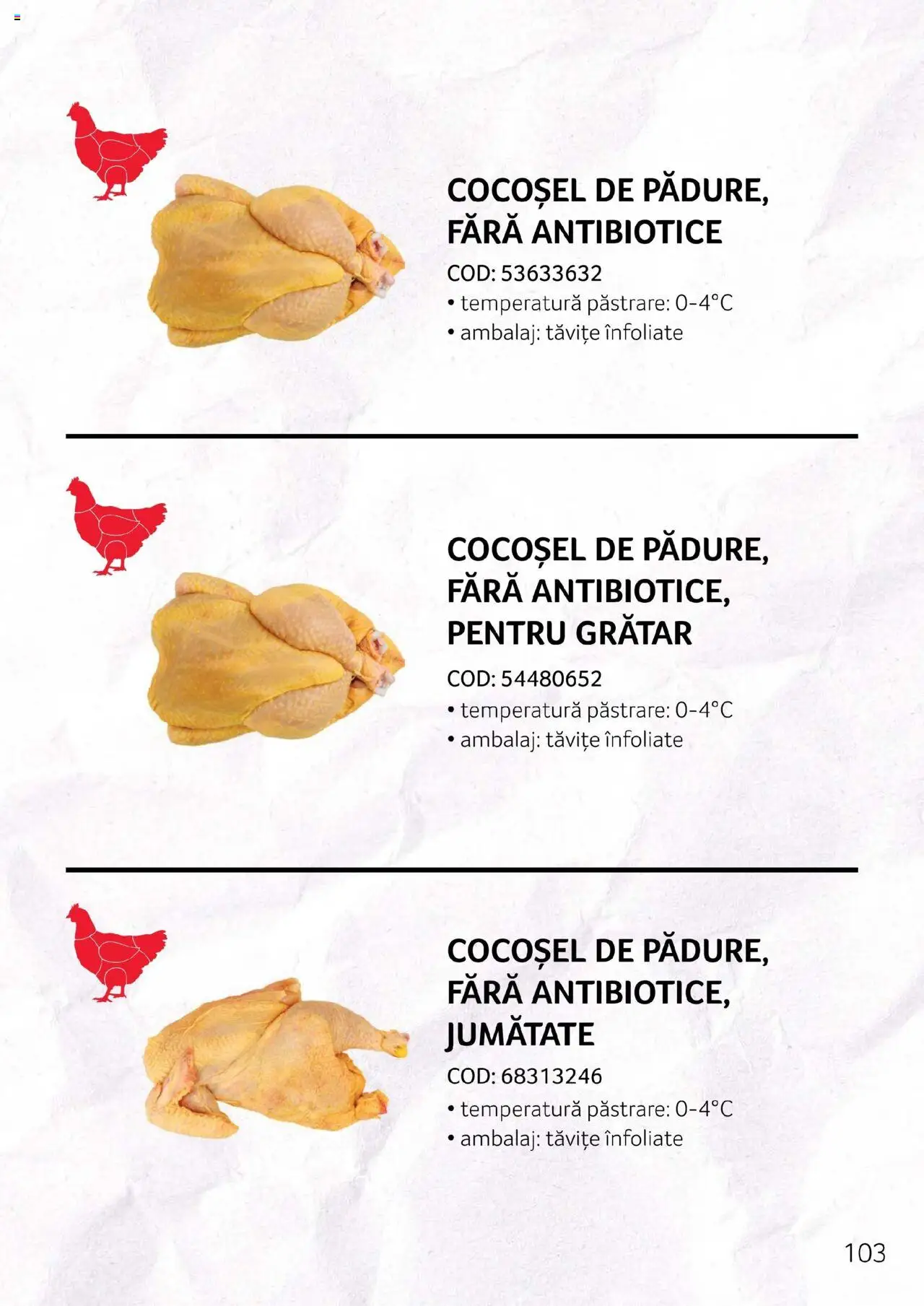 Catalog Selgros - Carne – valabil de la 27.04.2023 | Pagină: 103 | Produse: Grătar, Hacıyatmaz Kedi Oyuncağı