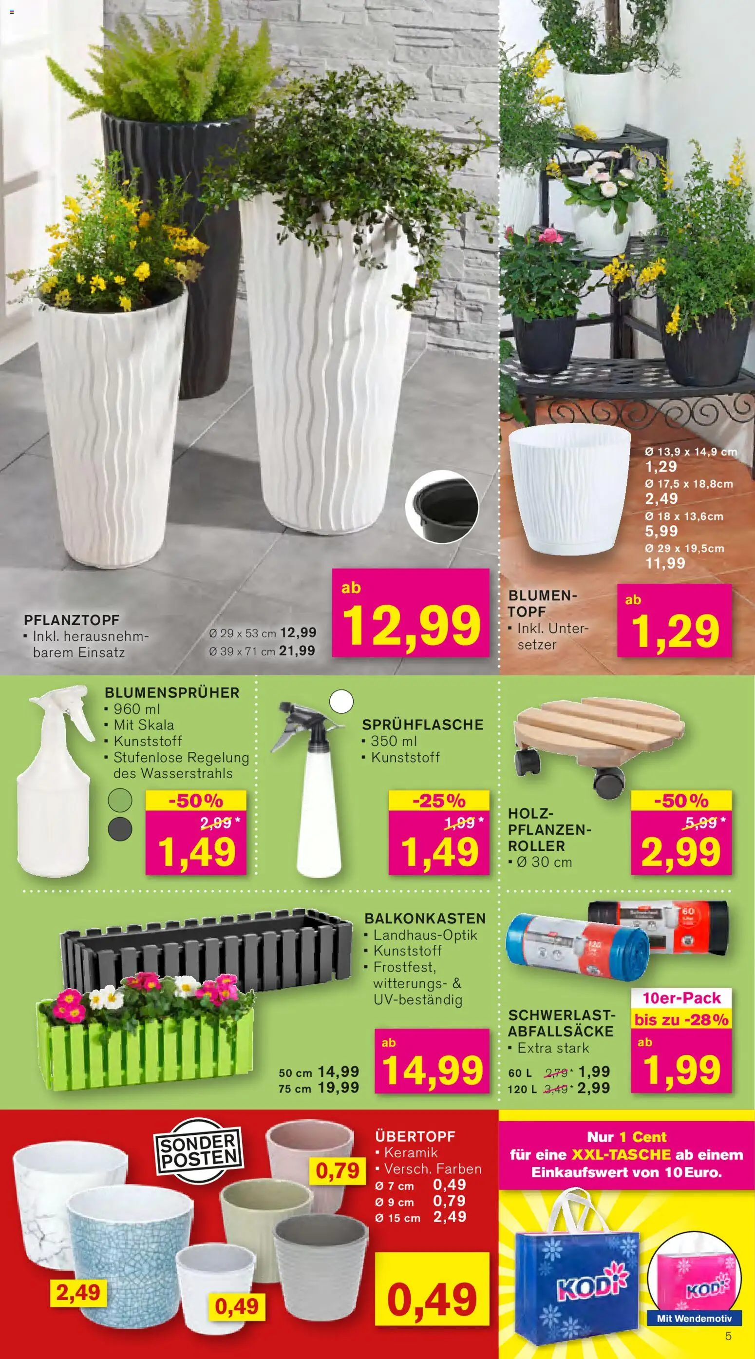 KODi Prospekt 	 – gültig ab 13.04.2026 | Seite: 5 | Produkte: Blumen