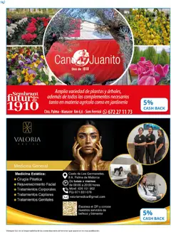 Vista previa Catálogo IKEA Family válido desde el 01.10.2025 | Página: 54 | Productos: General