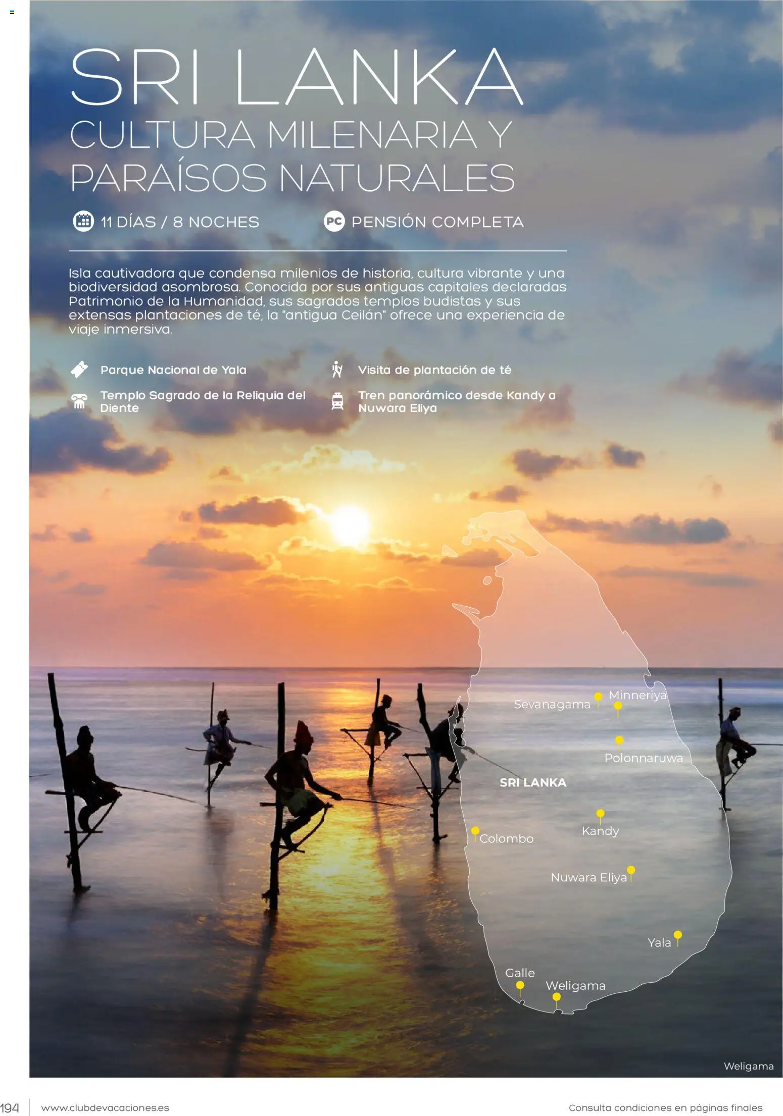 Viajes El Corte Inglés Club de Vacaciones │ válido desde el 01.02.2026 | Página: 194 | Productos: Té