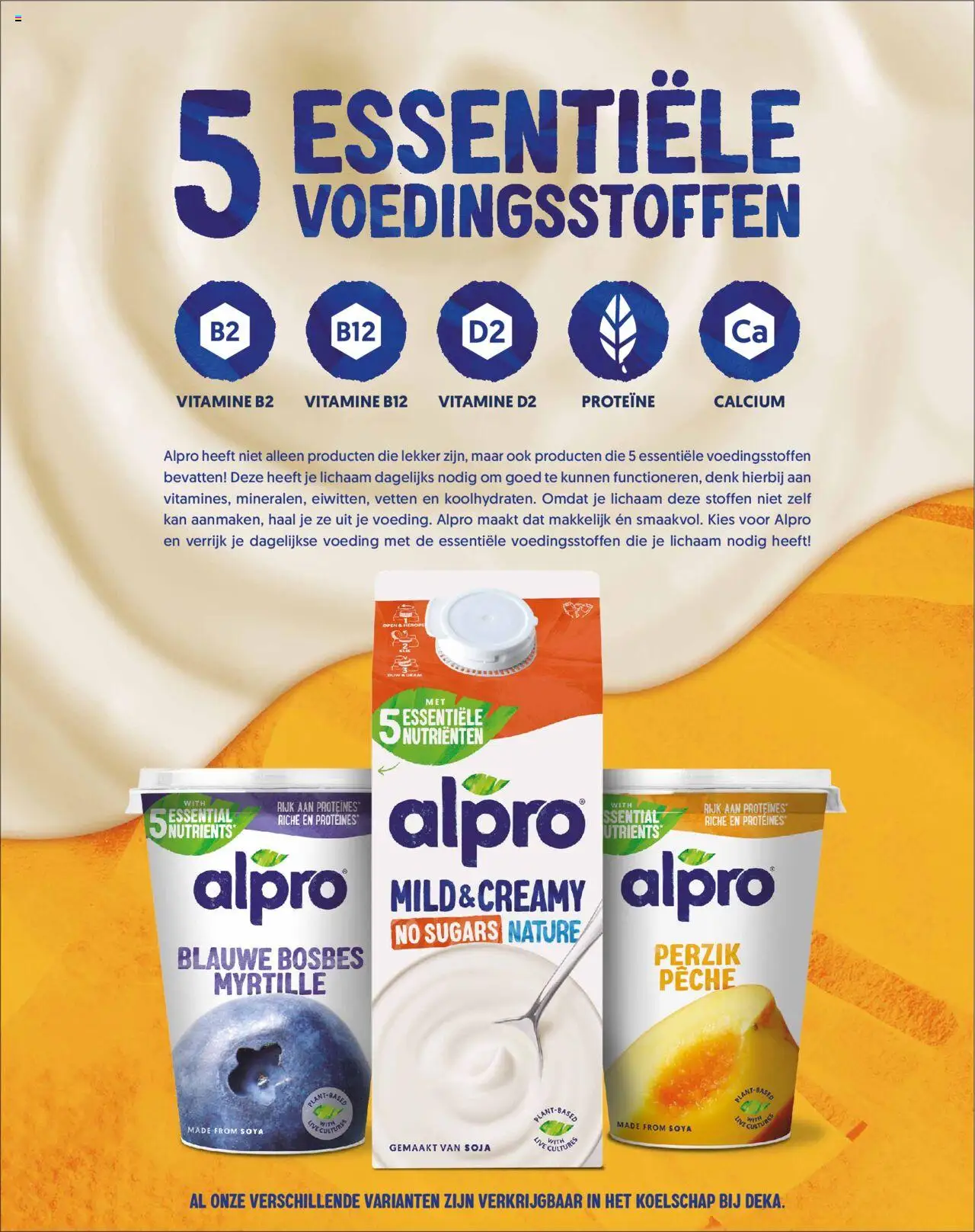 {H1} | Pagina: 22 | Producten: Kan