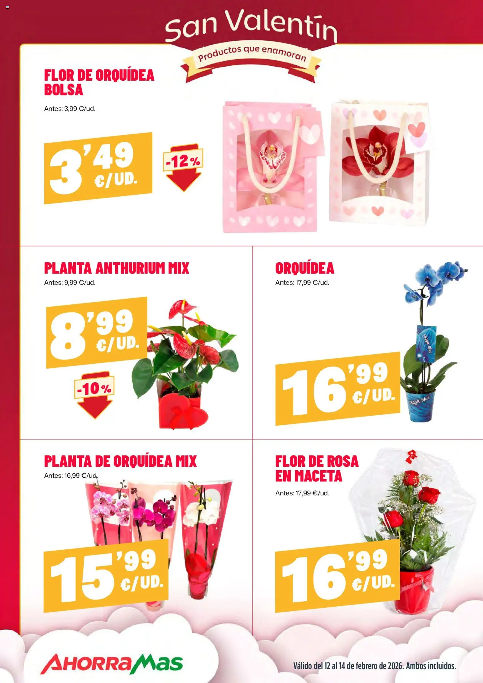 AhorraMas folleto │ válido desde el 12.02.2026 | Página: 12 | Productos: Bolsa, Maceta