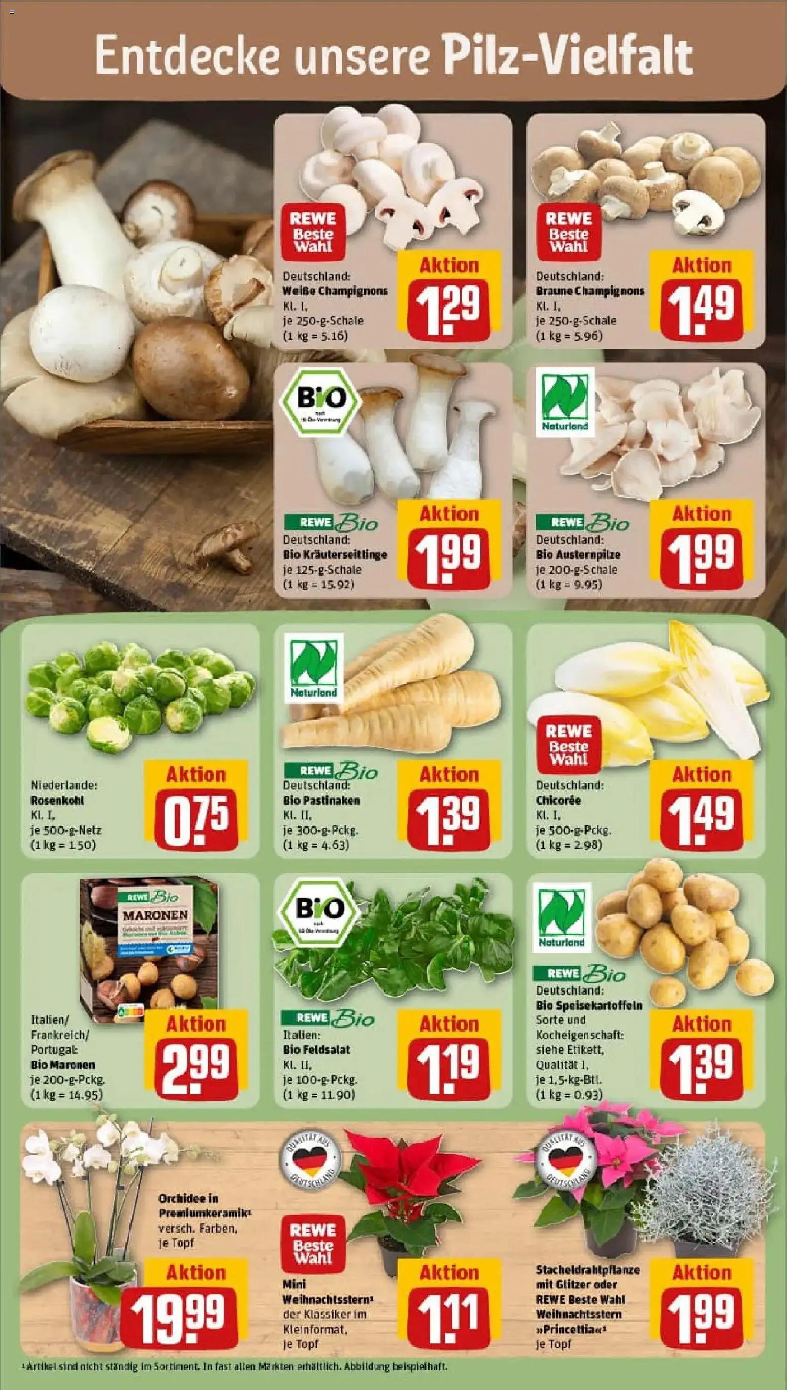 Rewe prospekt Marburg	 – gültig ab 02.11.2025 | Seite: 7 | Produkte: Orchidee, Champignons