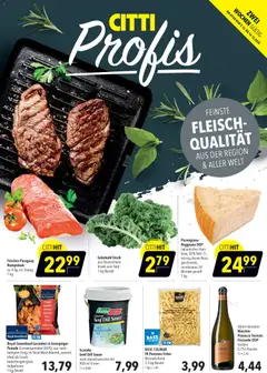 CITTI Markt Aktuelle Angebote für Profis ab 03.12.2025 gültig | Seite: 1