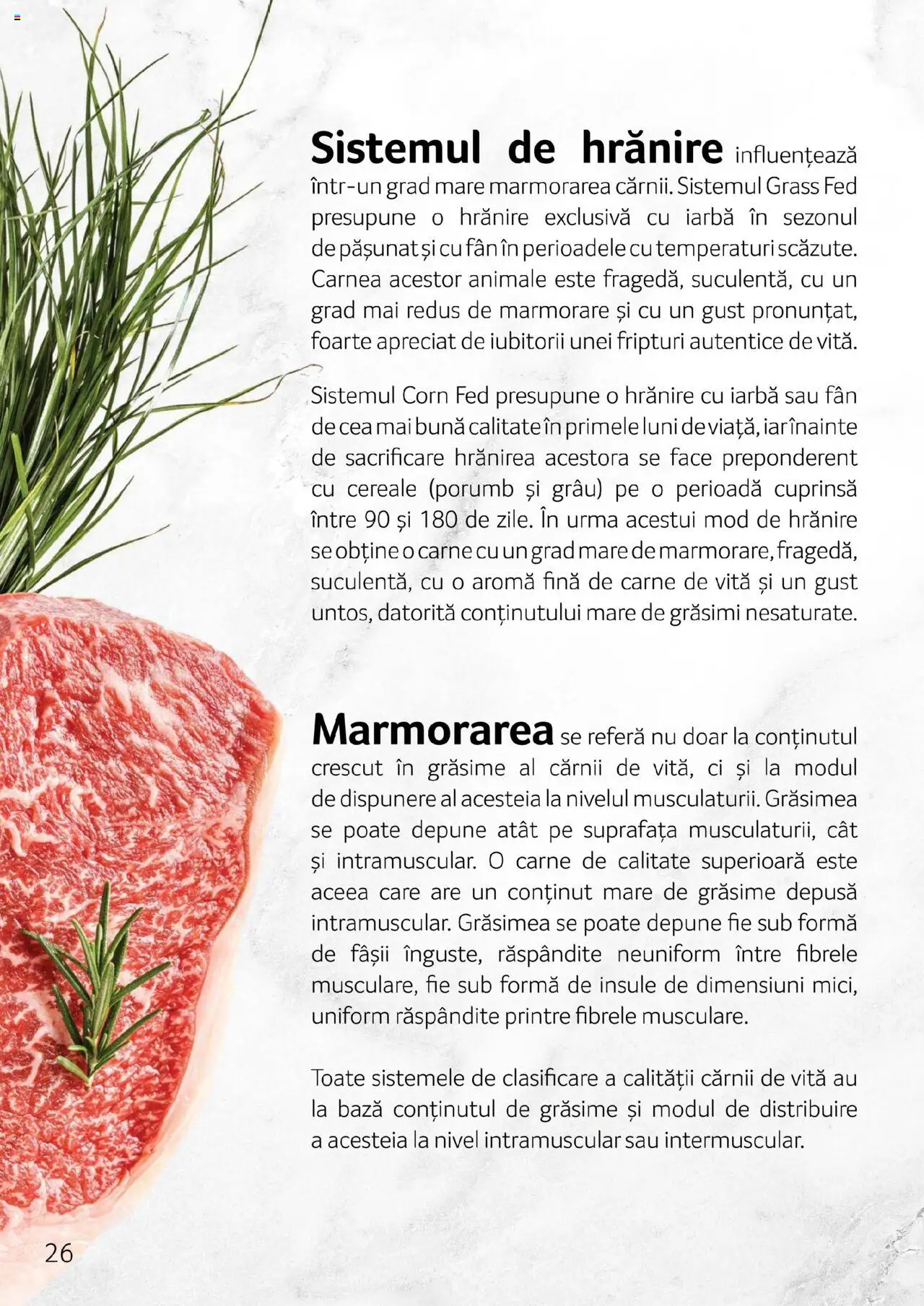Catalog Selgros - Carne – valabil de la 27.04.2023 | Pagină: 26 | Produse: Scară, Carne De Vită, Cereale, Porumb