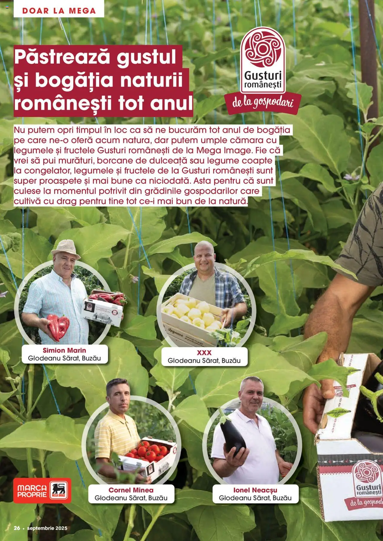 Noul catalog Mega Image – valabil de la 28.08.2025 | Pagină: 26 | Produse: Hacıyatmaz Kedi Oyuncağı, Legume