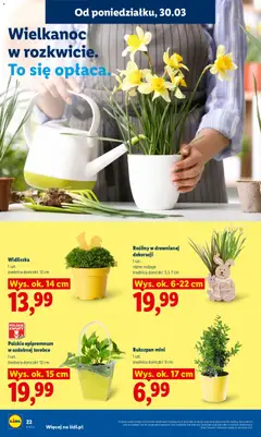 Pogląd oferty "Lidl gazetka" - ważna od 30.03.2026 | Strona: 22
