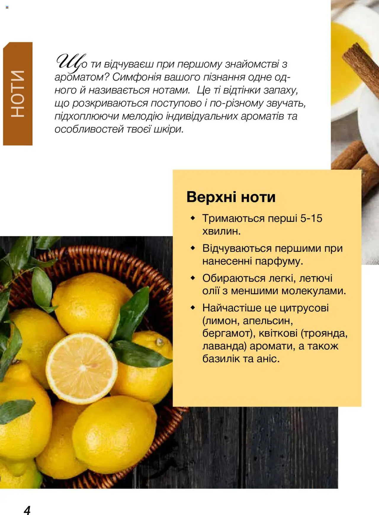 Mary Kay Kаталог - дійснийкції з 08.03.2024 | Сторінка: 4 | Товари: Базилік