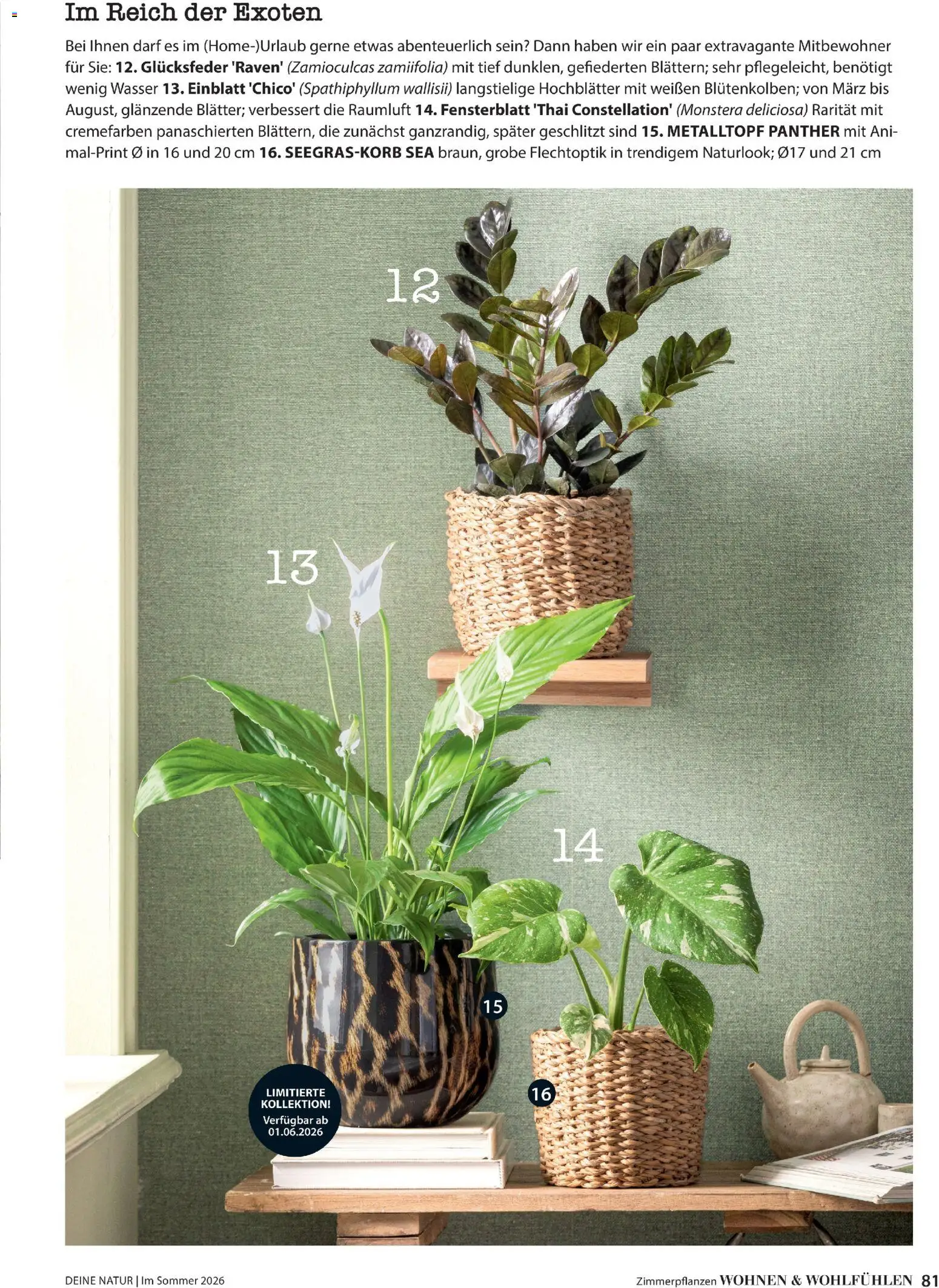 Dehner Prospekt 	 – gültig ab 17.04.2026 | Seite: 81 | Produkte: Wasser