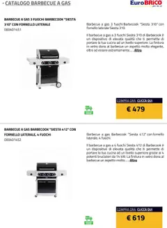 Anteprima del volantino Eurobrico Barbecue a Gas catalogo valido a partire dal 23.07.2025 | Pagina: 19