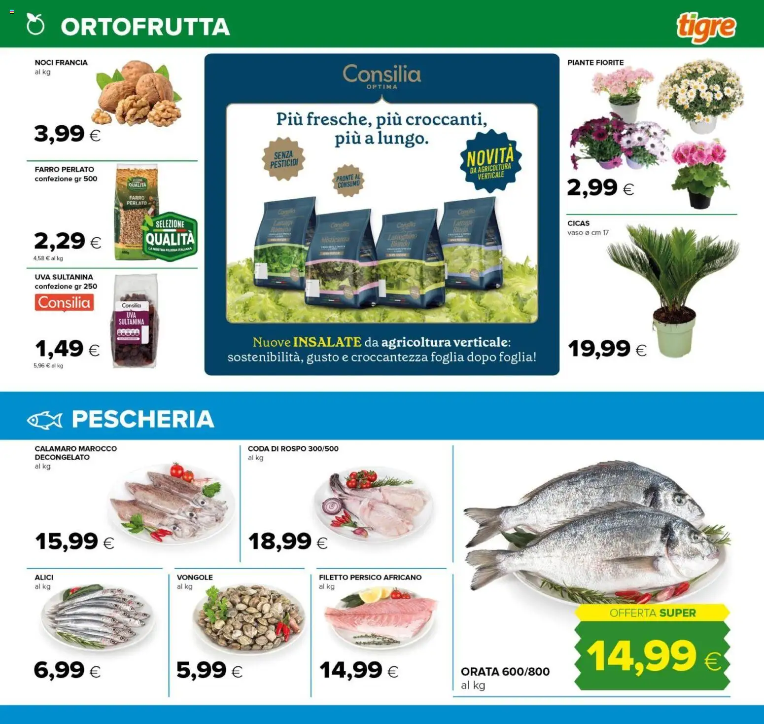 Volantino Tigre del 12.03.2026 | Pagina: 7 | Prodotti: Noci, Uva, Alici, Farro