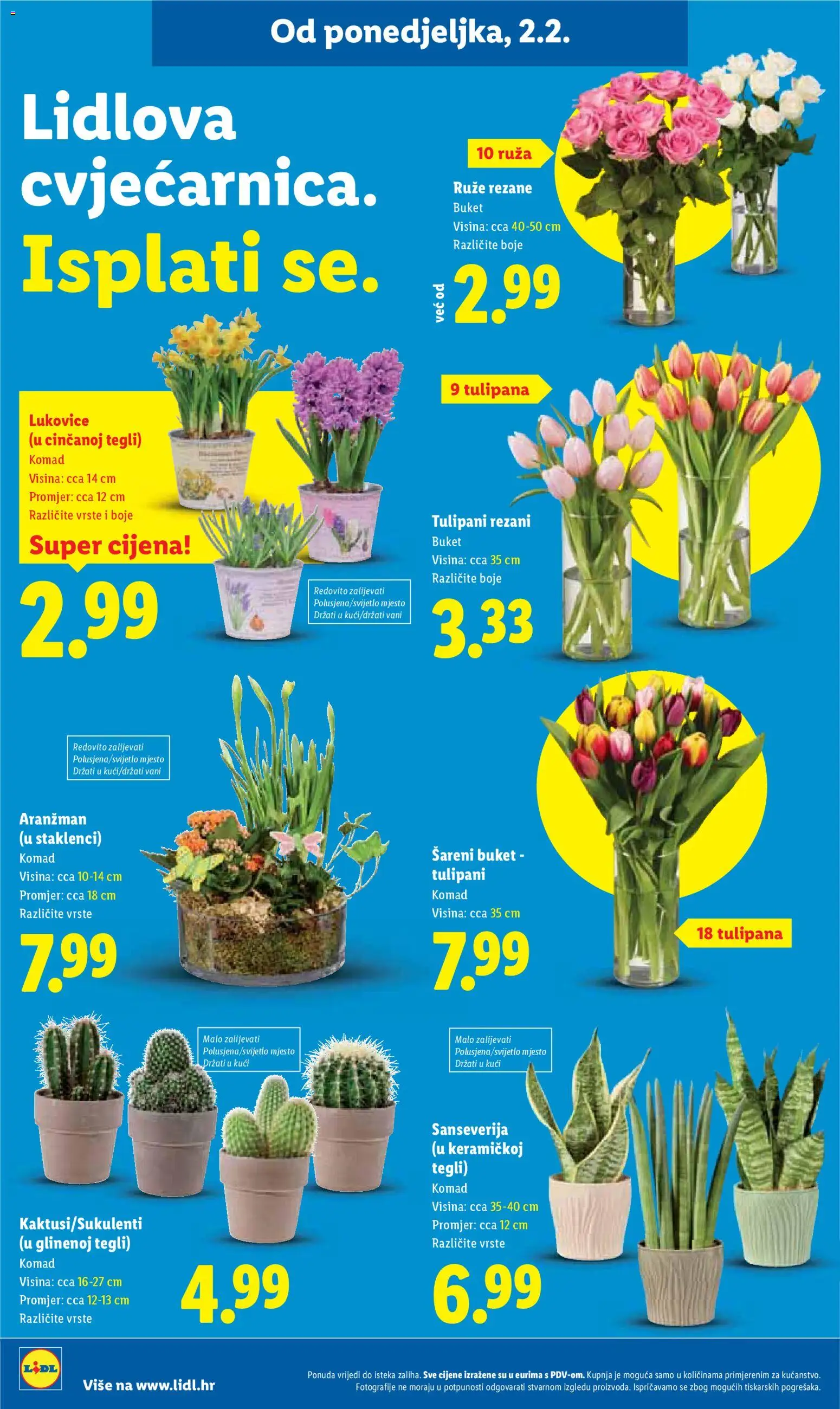 Lidl katalog | vrijedi od 02.02.2026 | Stranica: 44