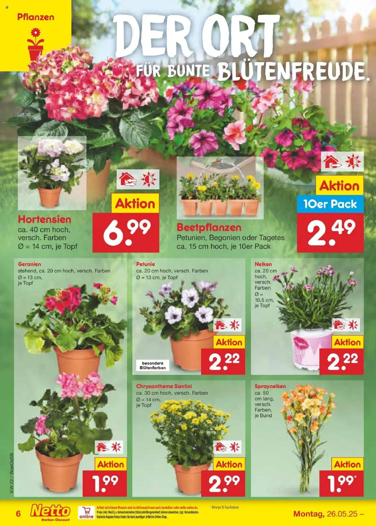 Netto Marken-Discount prospekt Gemmingen	 - gültig ab dem 26.05.2025 | Seite: 8 | Produkte: Geranien