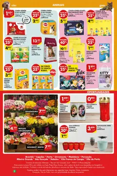 Pré-visualização VASO PLASTIC FORTE, 25cm válido de 30.10.2025 | Página: 28