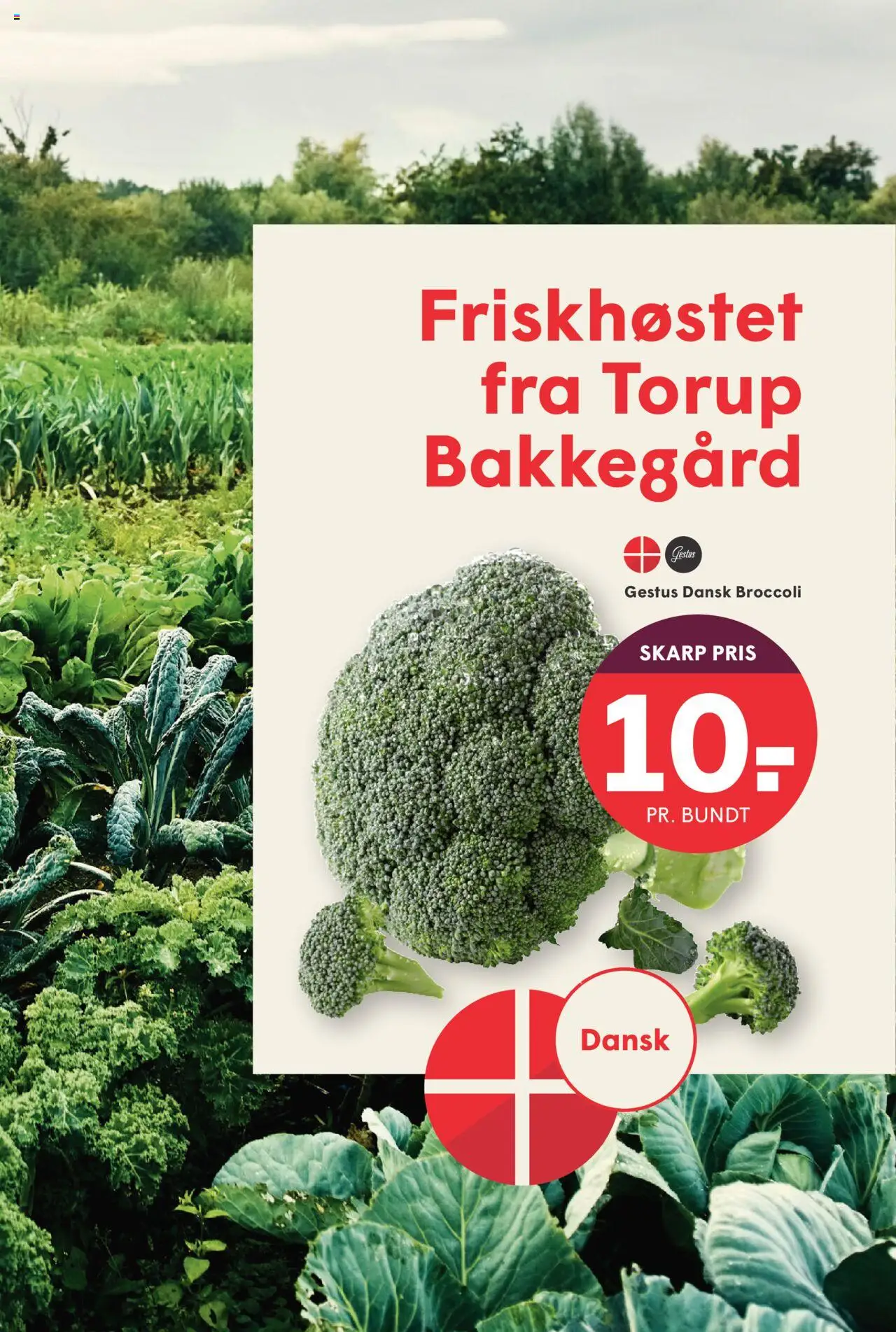 Spar Tilbudsavis gyldig fra 29.08.2025 | Side: 2 | Produkter: Broccoli