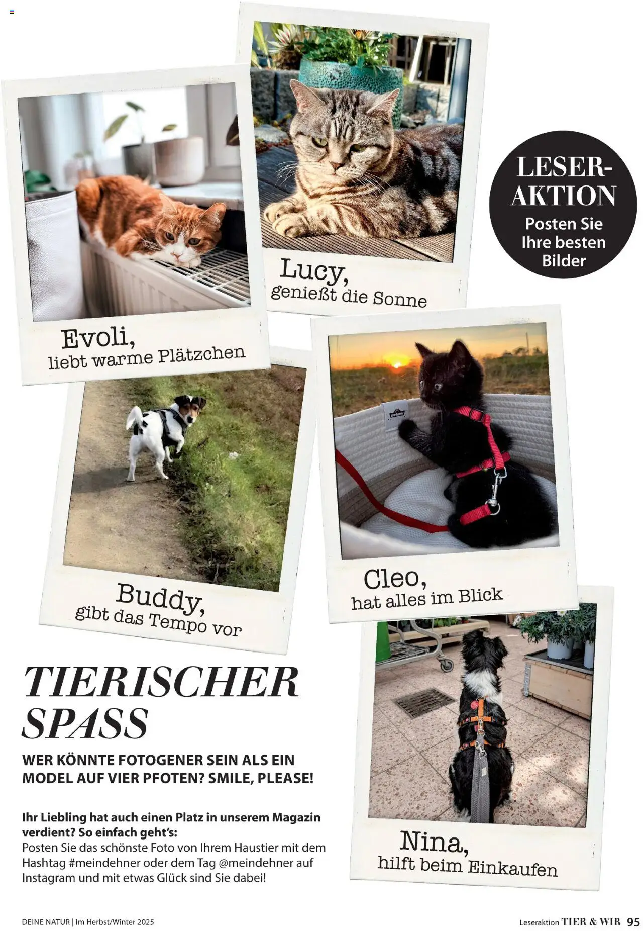 Dehner Prospekt Deine Natur – gültig ab 09.10.2025 | Seite: 95 | Produkte: Bilder, Tempo