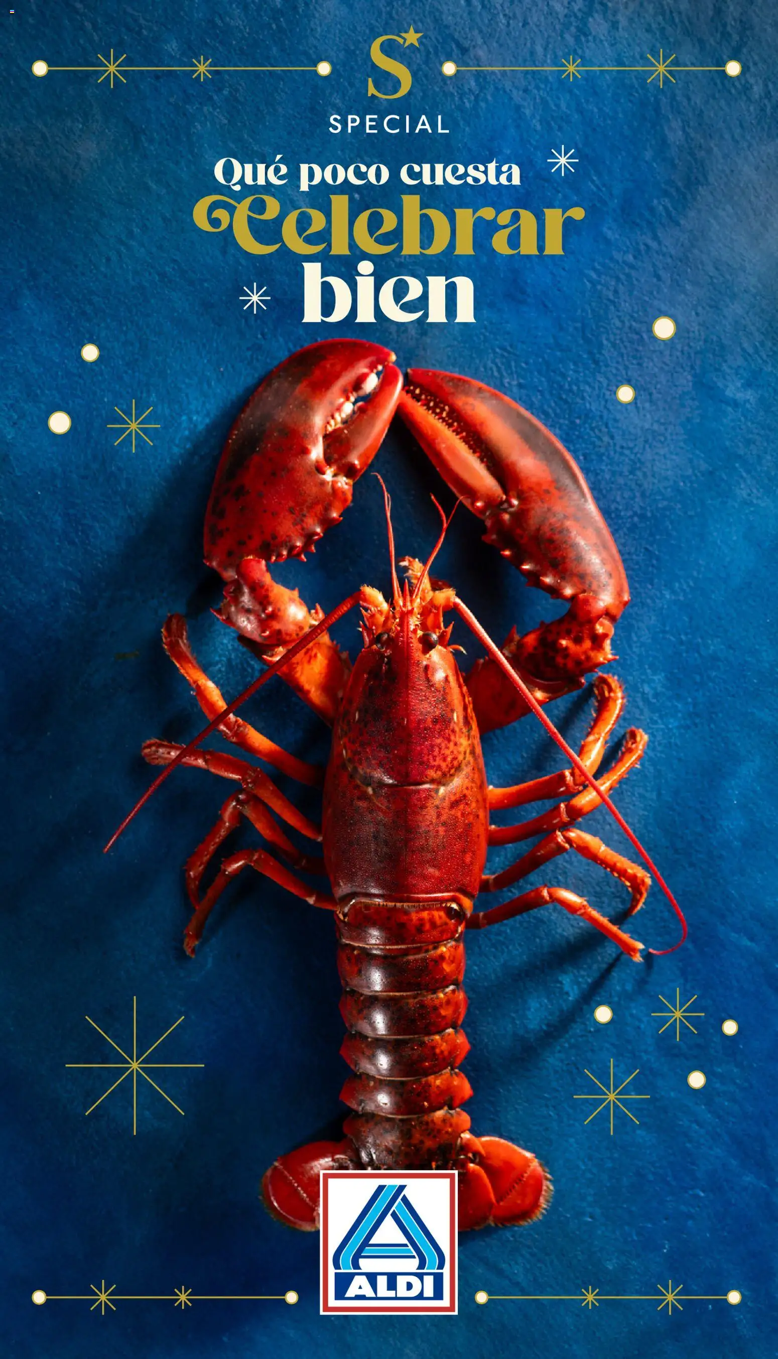 Aldi folleto Canarias │ válido desde el 04.12.2025 | Página: 1