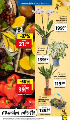 Lidl leták od 04.08.2025 | Strana: 9
