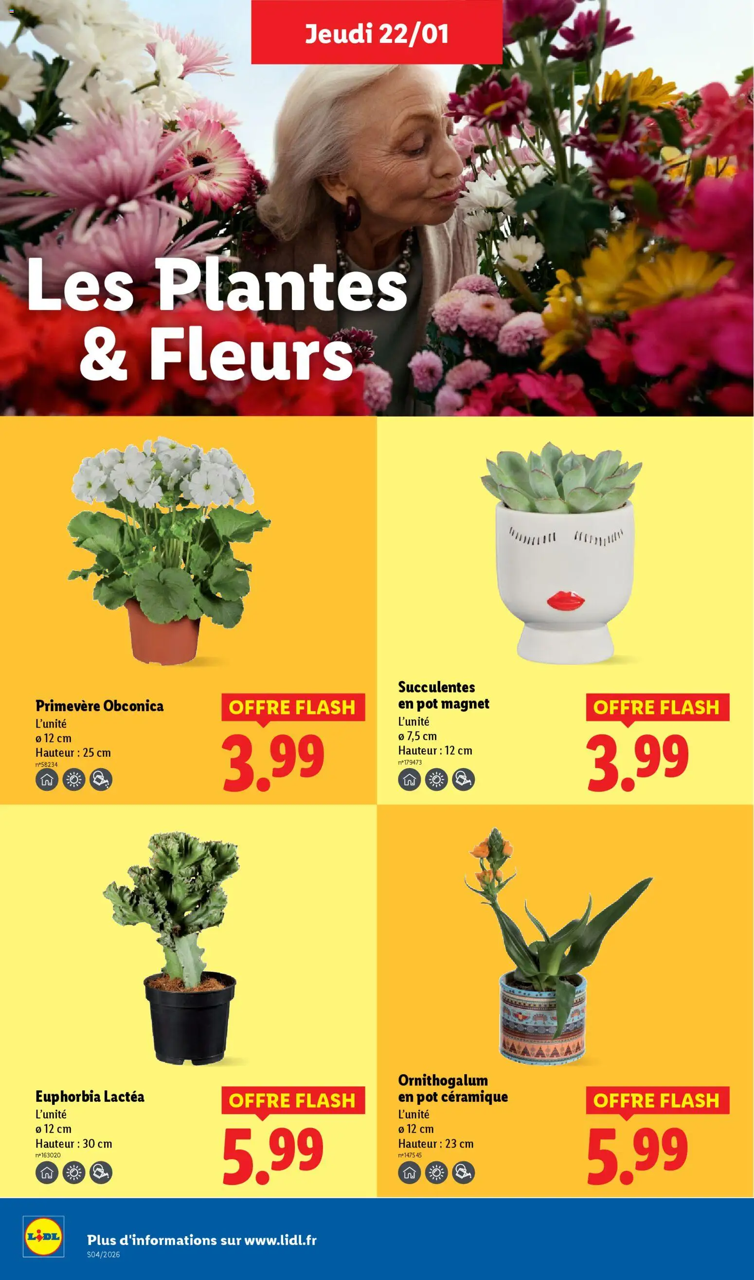 {H1} | Page: 28 | Produits: Plantes