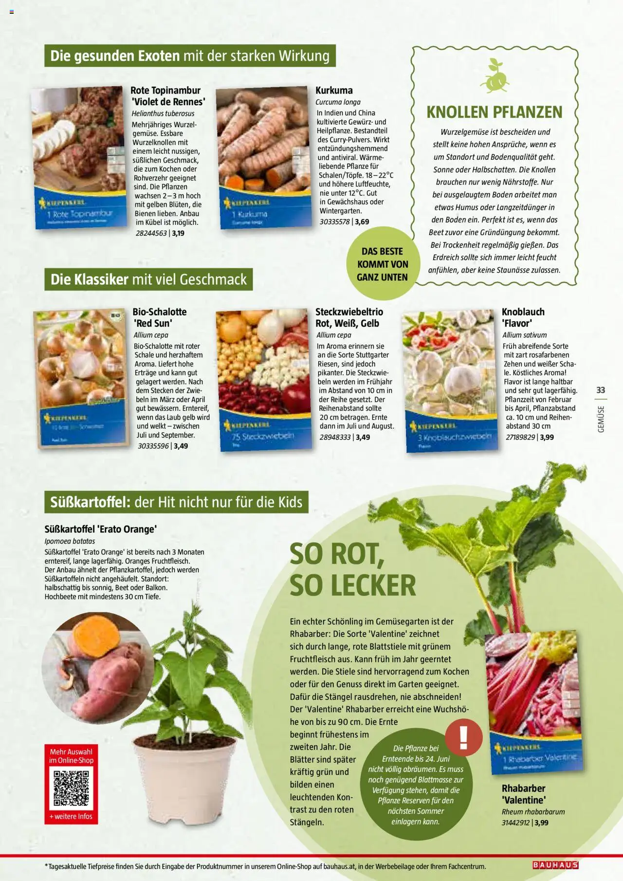 Bauhaus Reiche Ernte Magazin 2025 gültig ab 01.07.2025 | Seite: 33 | Produkte: Gemüse, Knoblauch