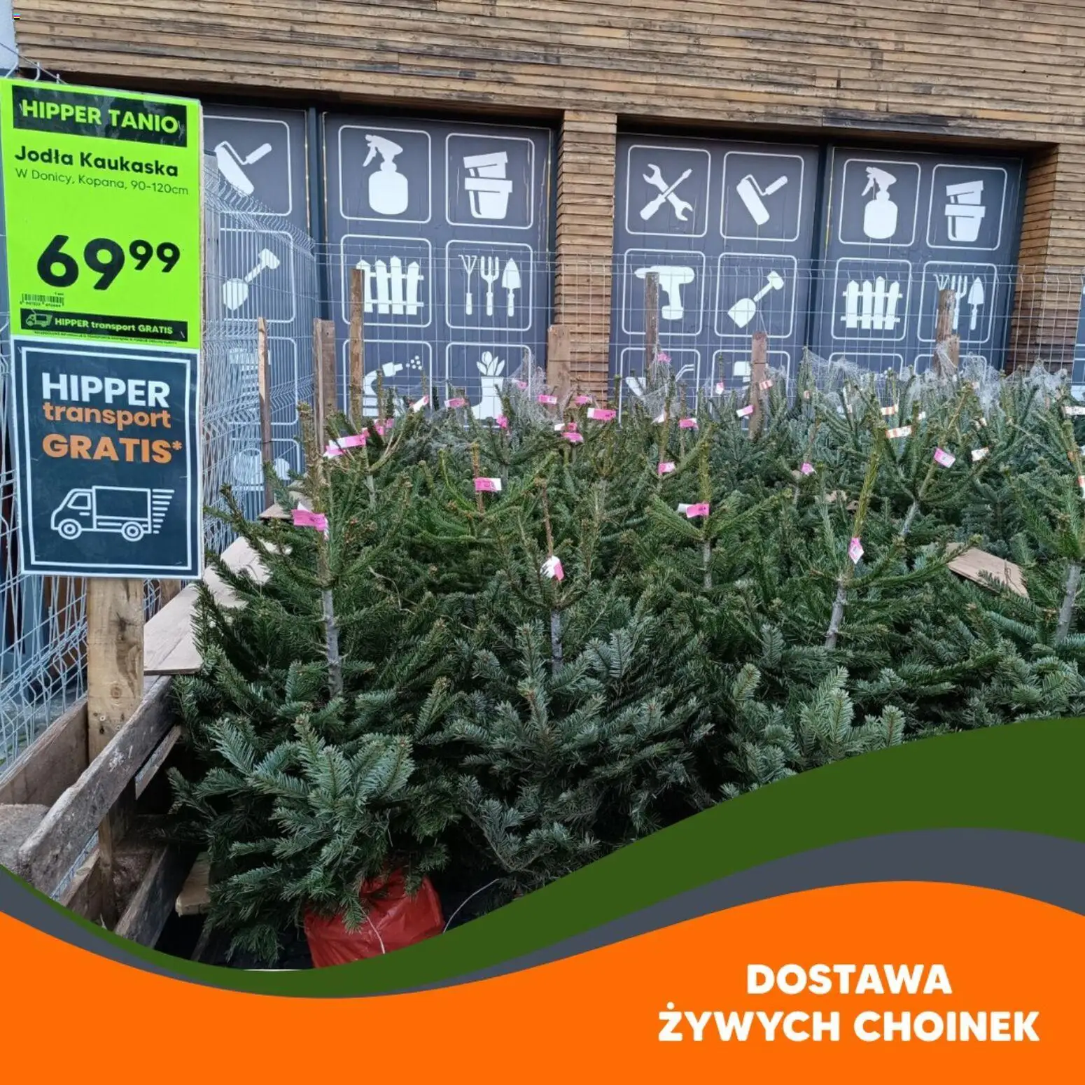 Hipper Gazetka od 21.11.2025 | Strona: 2 | Produkty: Jodła kaukaska