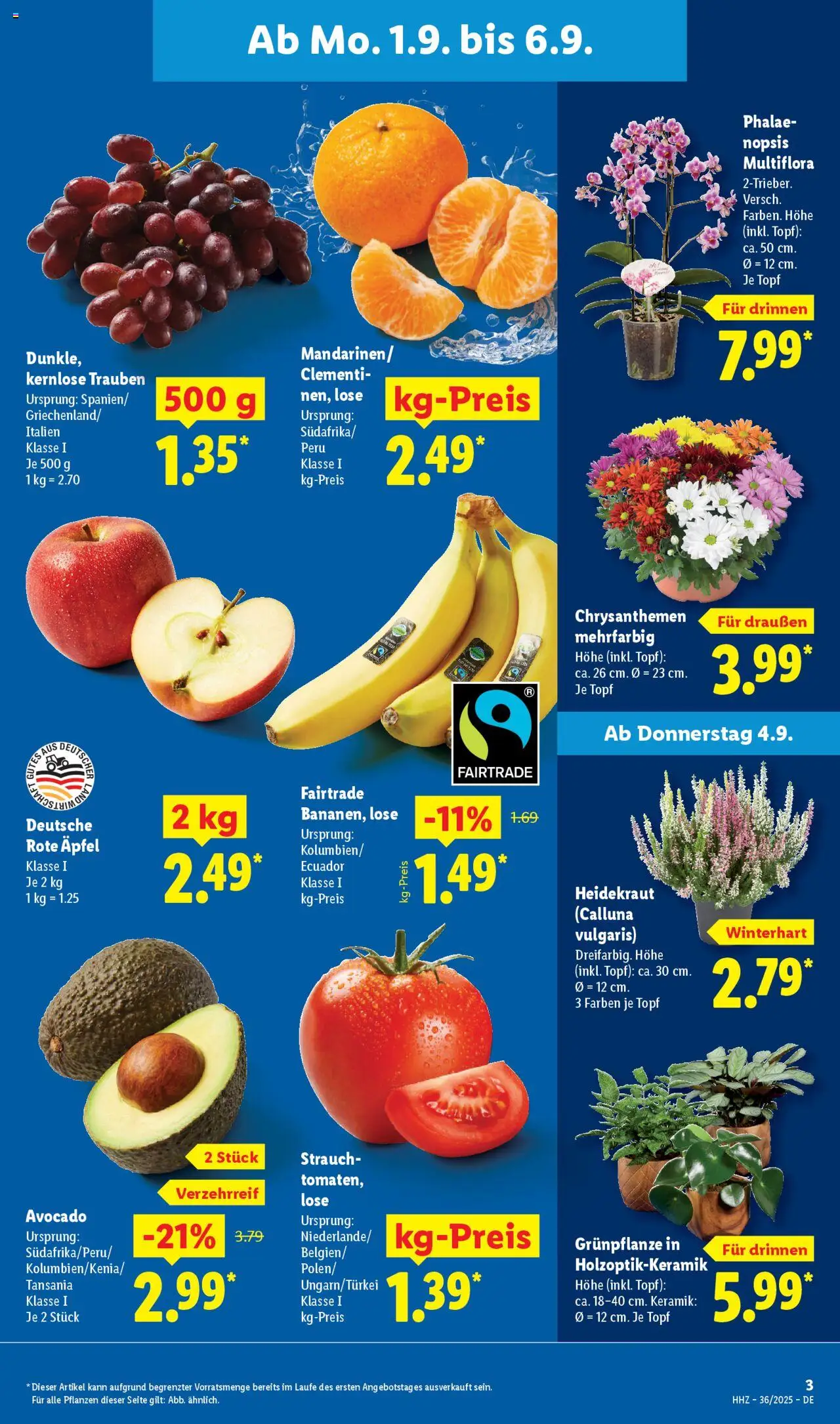 Lidl Prospekt Bernsdorf 	 - gültig ab dem 01.09.2025 | Seite: 3 | Produkte: Trauben, Äpfel, Mandarinen, Avocado