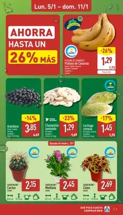 Vista previa Lechuga romana, De España, Canarias. Categoría I. 300 g (4,83 €/kg) válido desde el 05.01.2026 | Página: 3 | Productos: Μαξιλάρι λαιμού