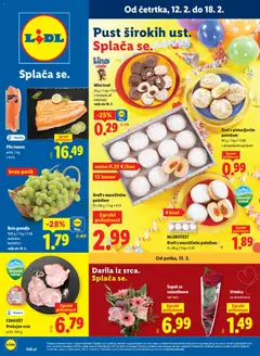 Lidl katalog akcije – veljaven od 12.02.2026