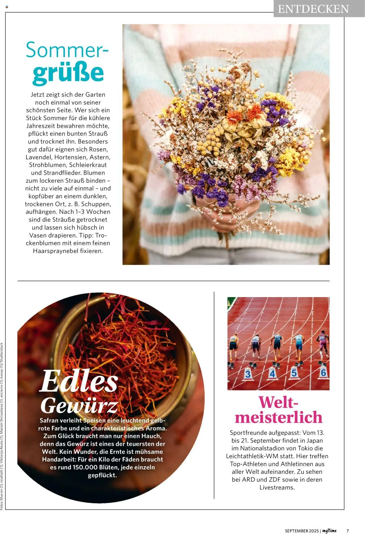 Famila Nordwest myTime September 2025 – gültig ab 01.09.2025 | Seite: 7 | Produkte: Blumen