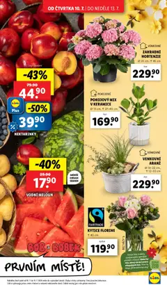 Lidl leták od 10.07.2025 | Strana: 9