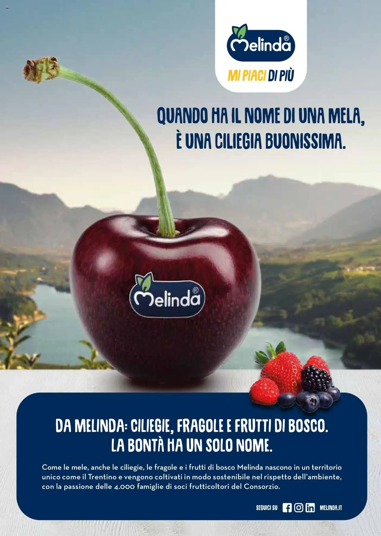 Volantino Gulliver del 01.08.2025 | Pagina: 34 | Prodotti: Fragole